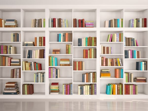Bookshelf Assembly in Evanston